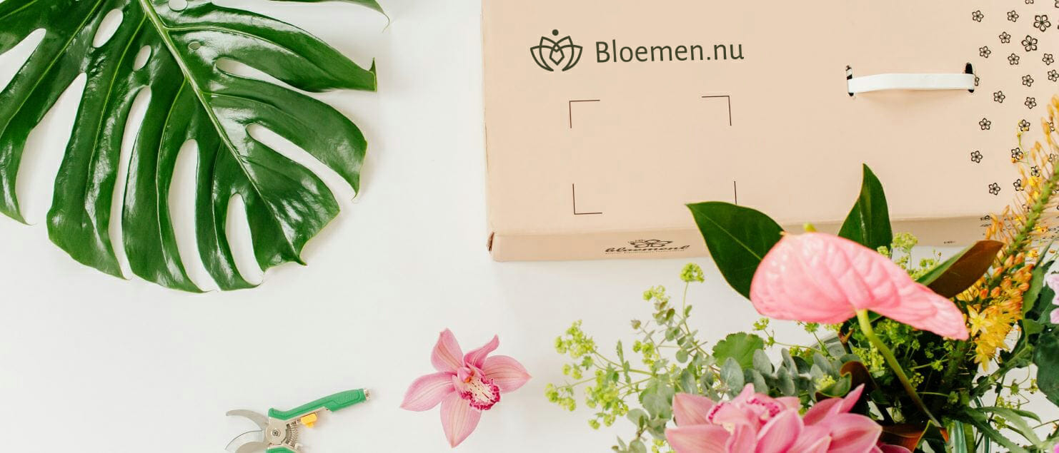 strottenhoofd hond achter Home - Bloemen.nu